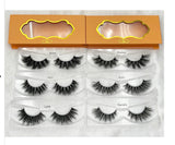 LASH COLLECTION